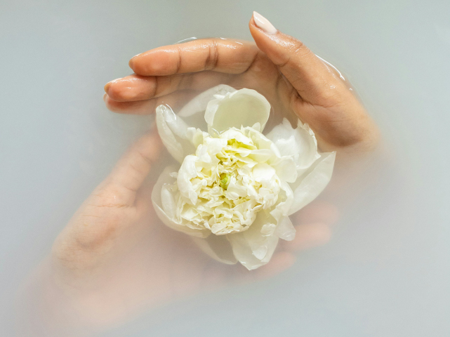 にごり湯のお風呂の中で白い花を包む女性の手