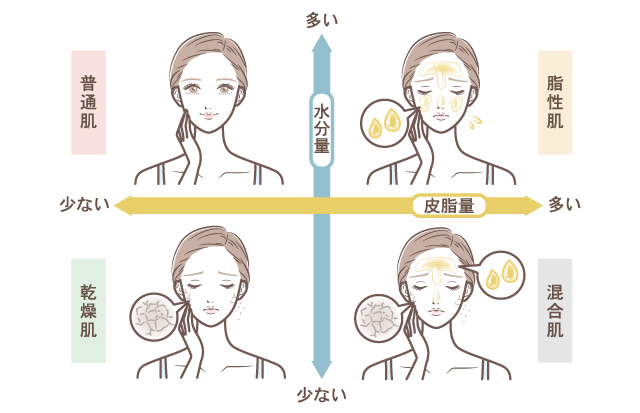 肌質は大きく分けて普通肌、乾燥肌、脂性肌、混合肌、の4つに分類されます