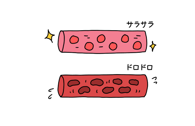 サラサラ血とドロドロ血